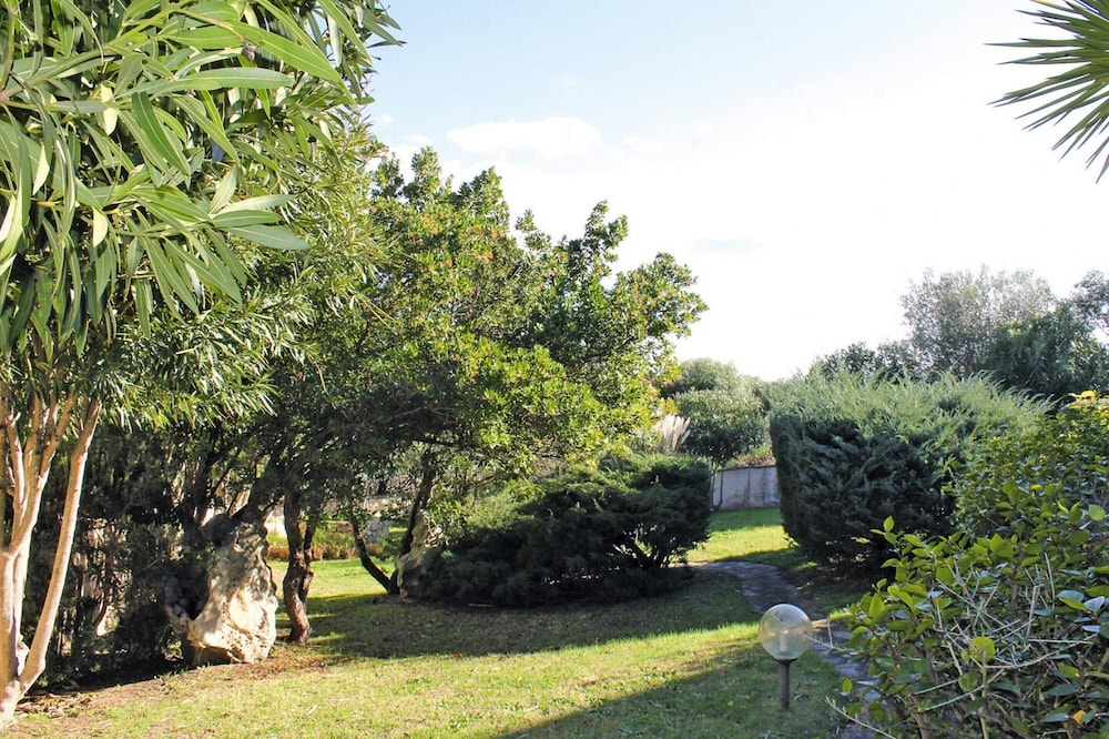 Photo 12