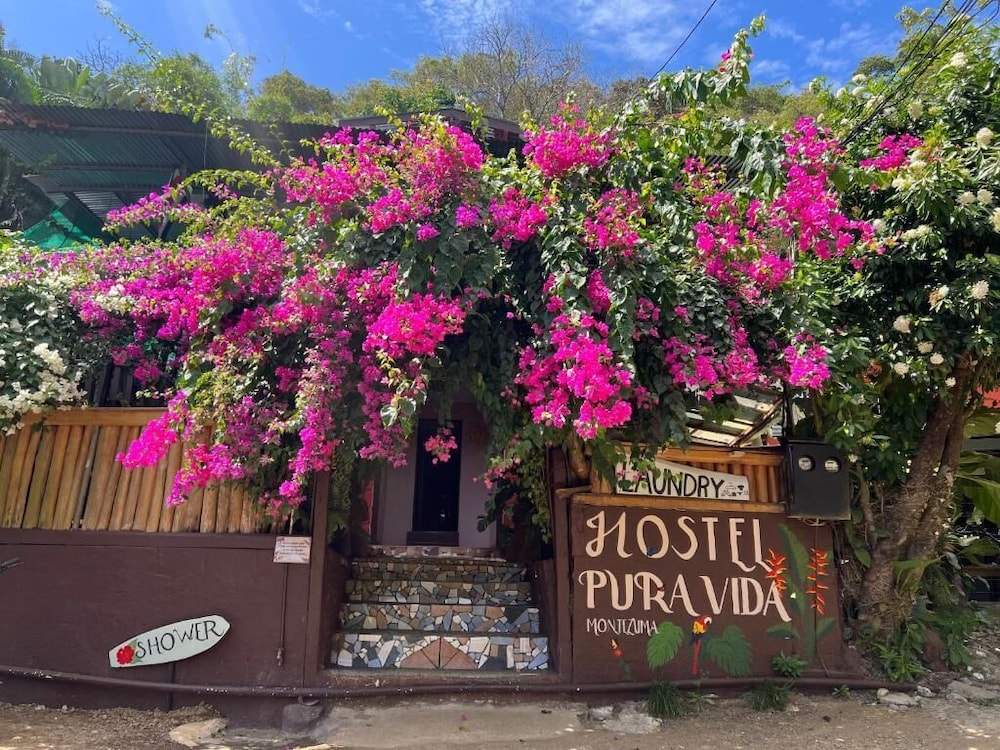 Hostel Pura Vida
