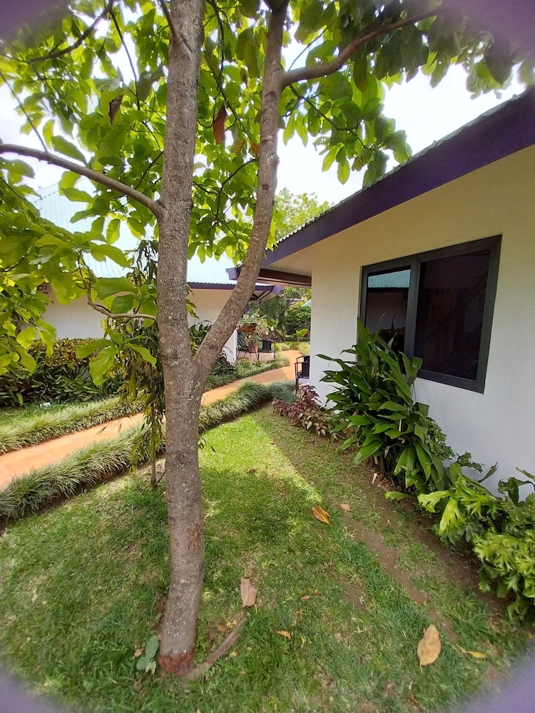 Hotel Isla Verde, photo 30
