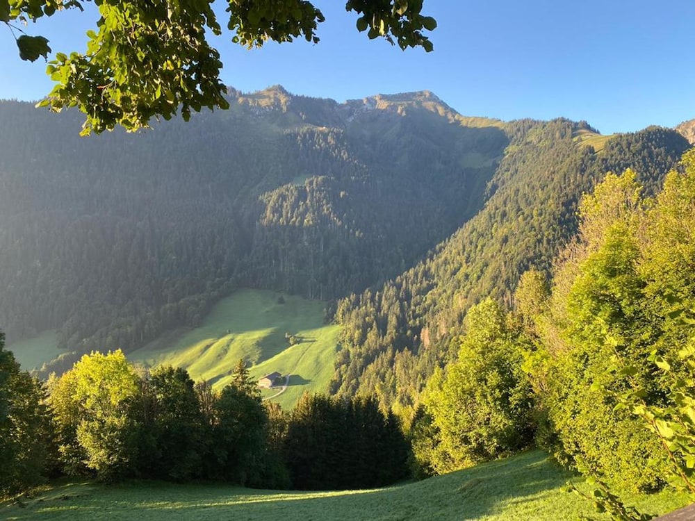 Heidi Chalet Alps - Unique Experience - Authentic Part