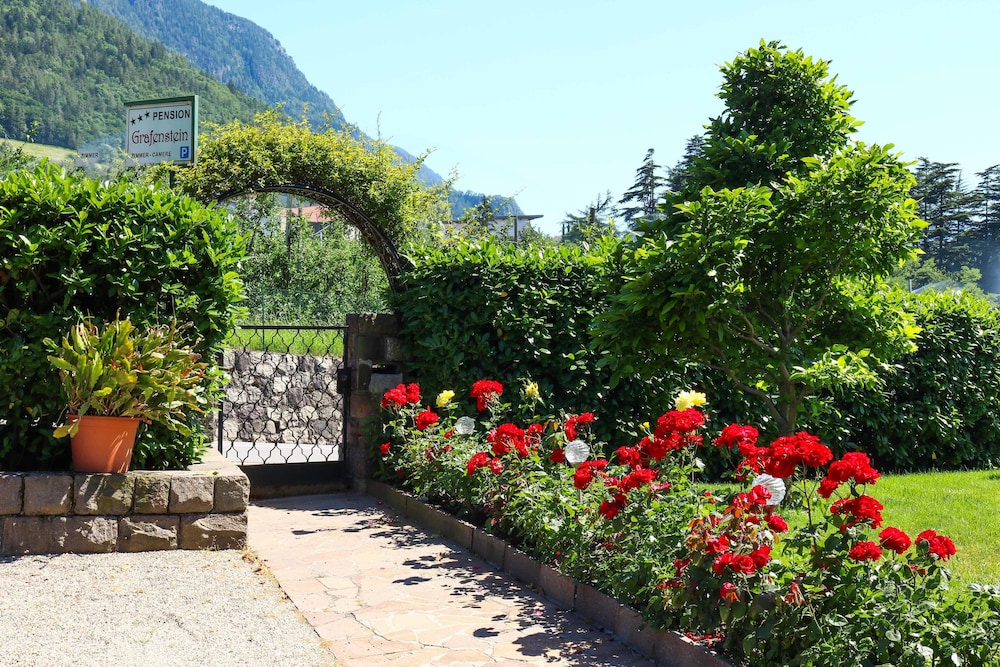 Guesthouse Pension Grafenstein view 3
