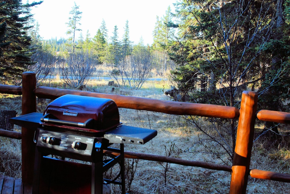 Bear Paw Adventure