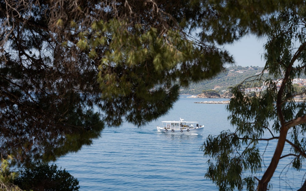 Porto Castello Villas
