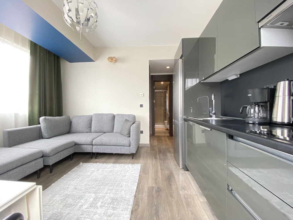 Convenient Flat in Secured Residence in Kagithane