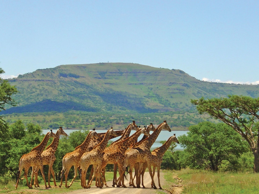 SpionKop Lodge