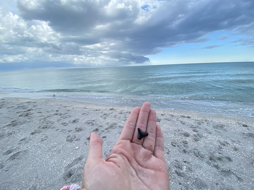 Manasota Key Resort