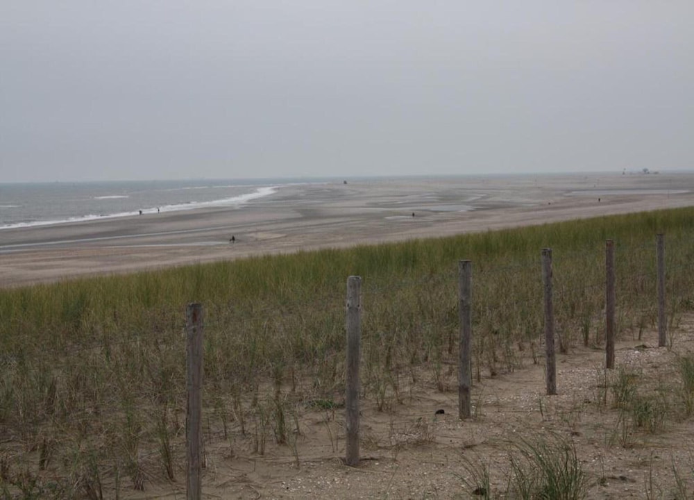 Bungalow in Netherlands Near the Coast, photo 23