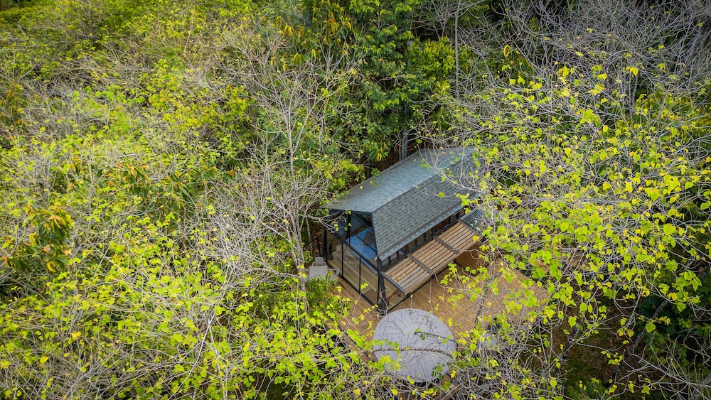 Silvery Bungalows en el Bosque