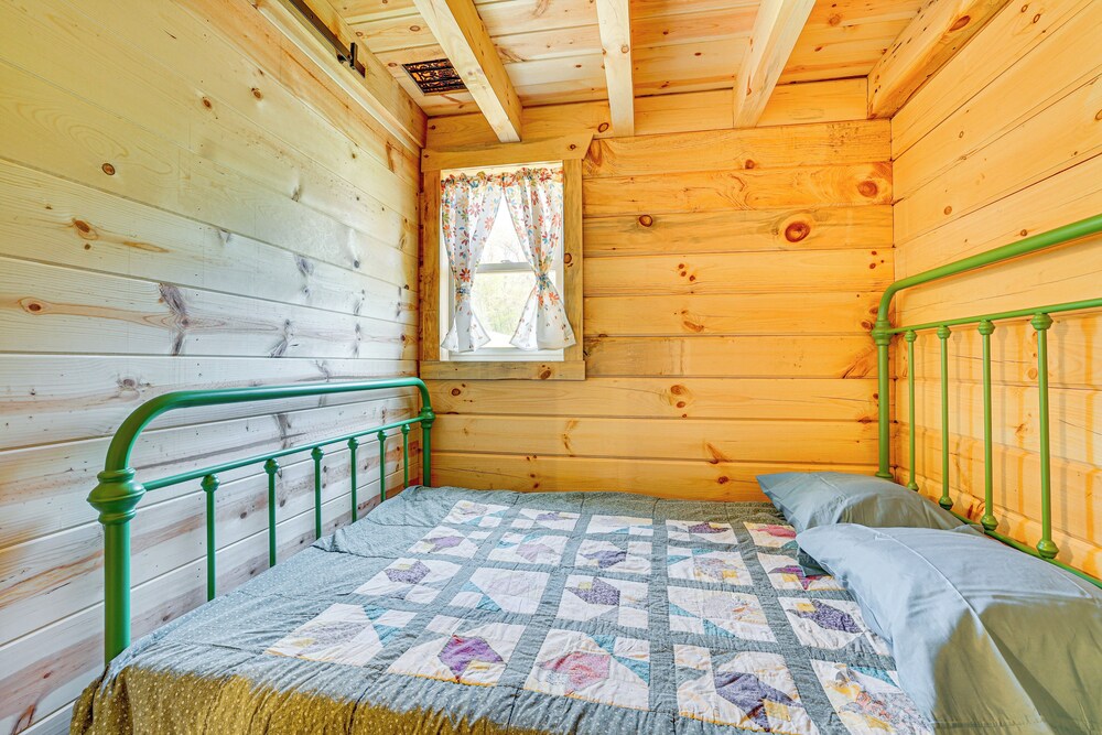'fins & Flowers' Lewiston Cabin w/ Trout Fishing!