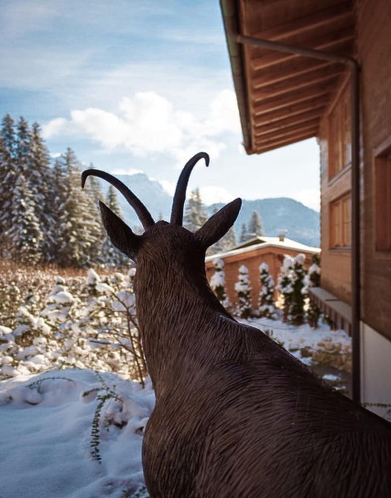 Chalet in Tyrol Near Ski-area