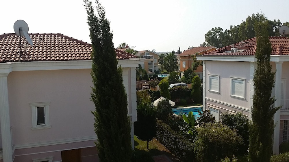 Photo 46