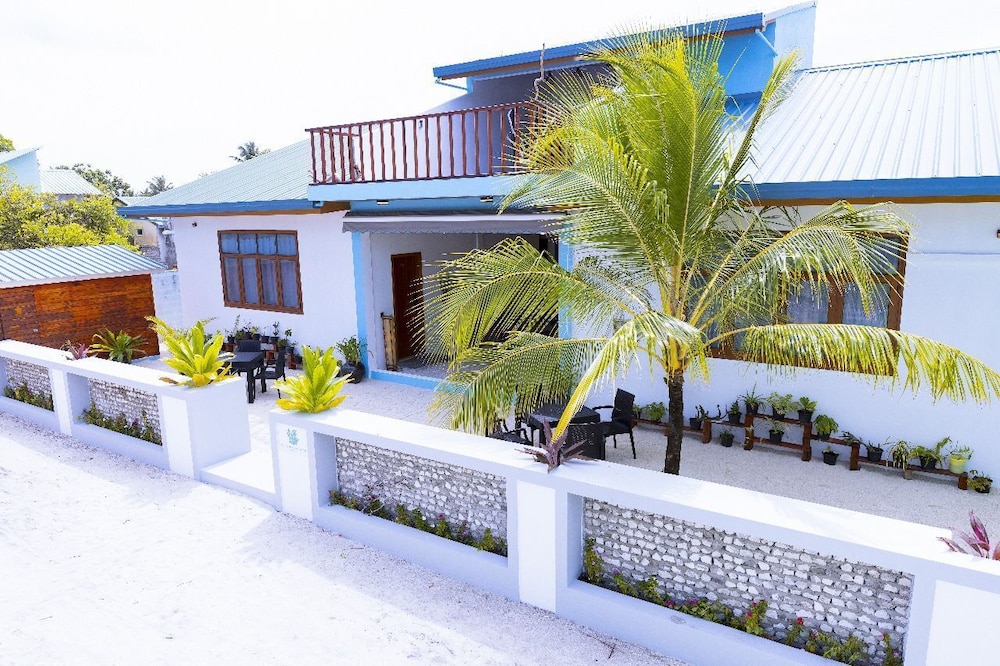 Blue Coral Vashafaru