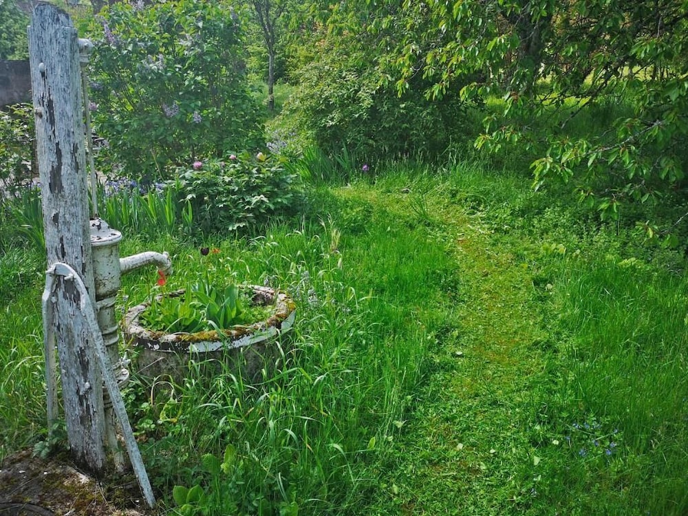 Photo 25