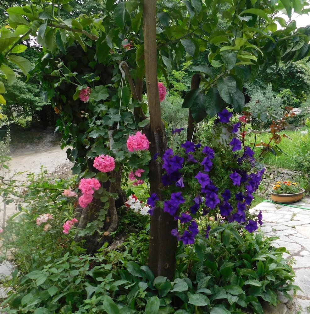 Photo 42