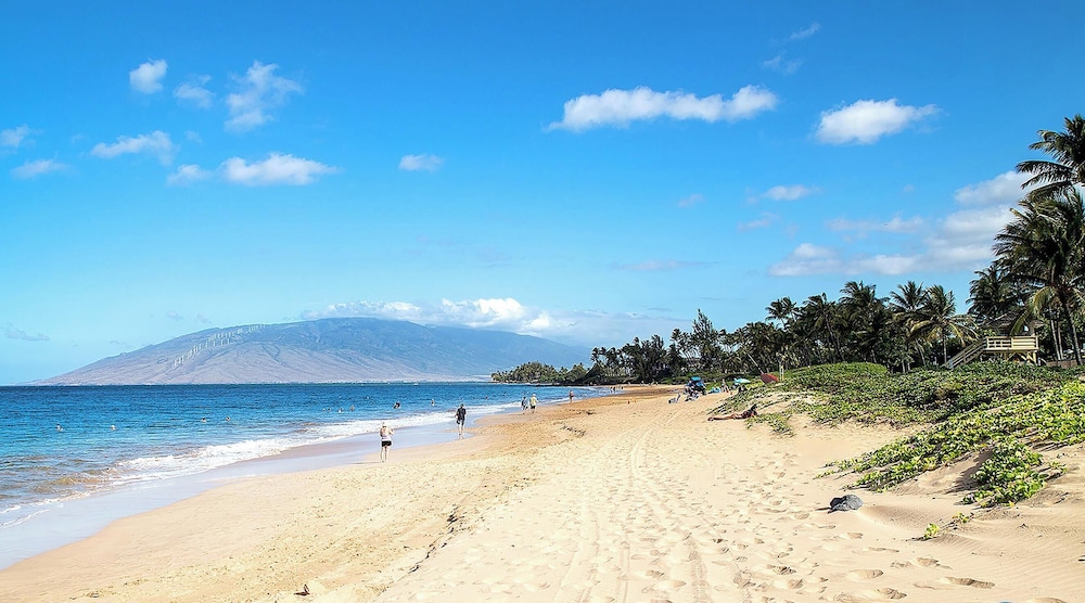 Maui Vista 3-102 - Updated, Ground Level, Steps to the Pool, Walk to Everything!