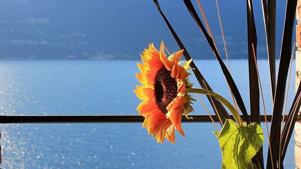Villa Marina - Como Lake