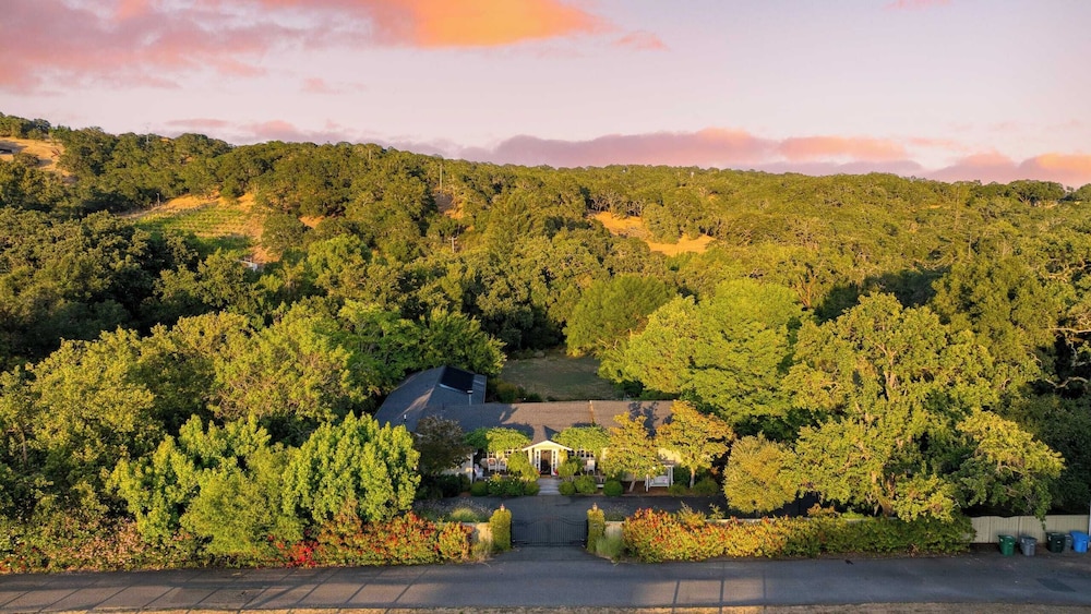 Glen Ellen Escape 5BR Retreat w/ Pool, Hot Tub, Hammocks & Vineyard Views