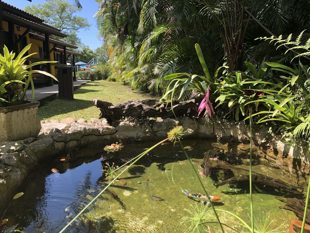 Hotel Bosques do Massaguaçu