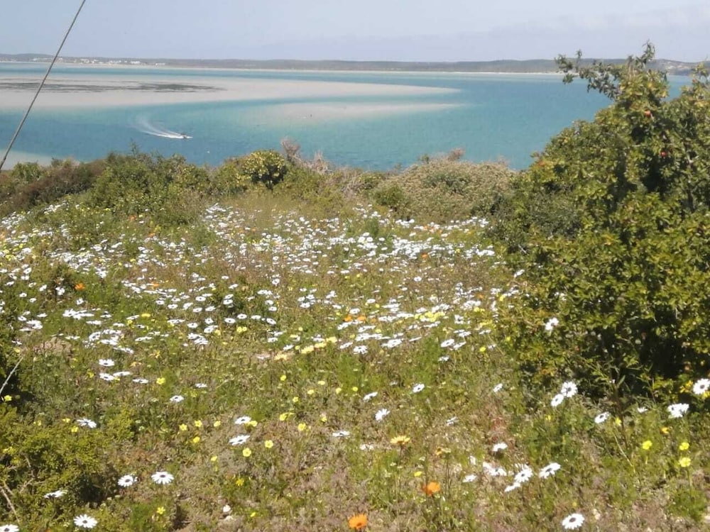 Sunbird View