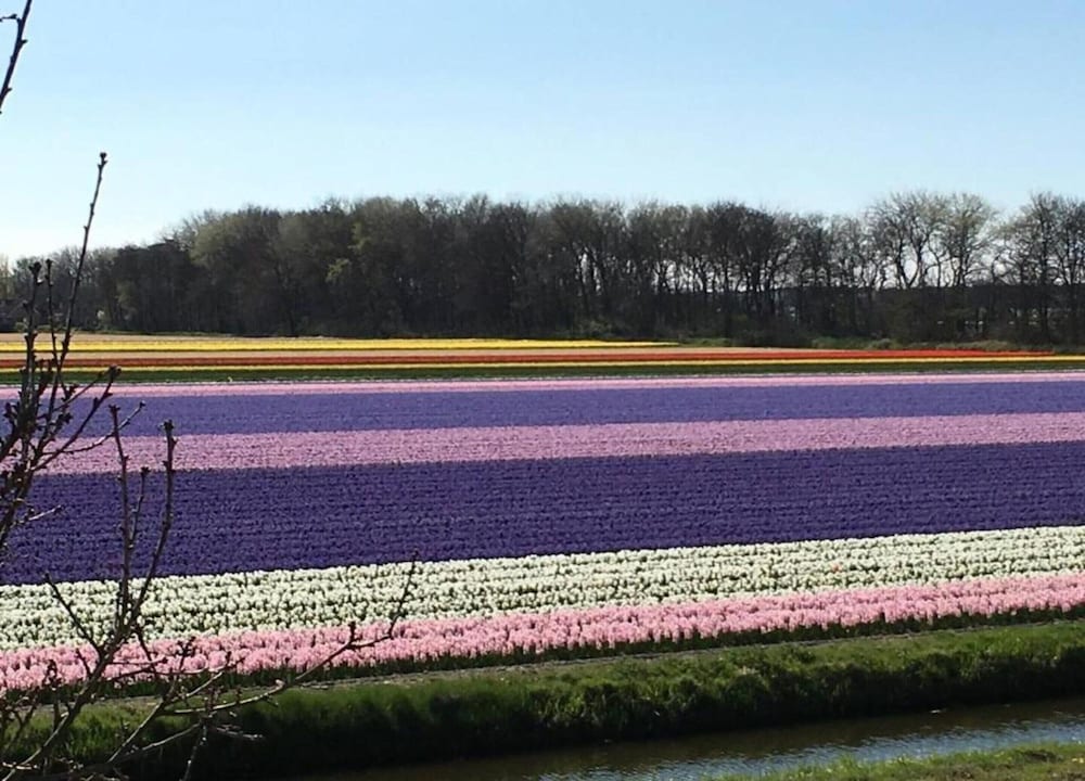 Lovely Home in Noordwijkerhout near Sea Beach