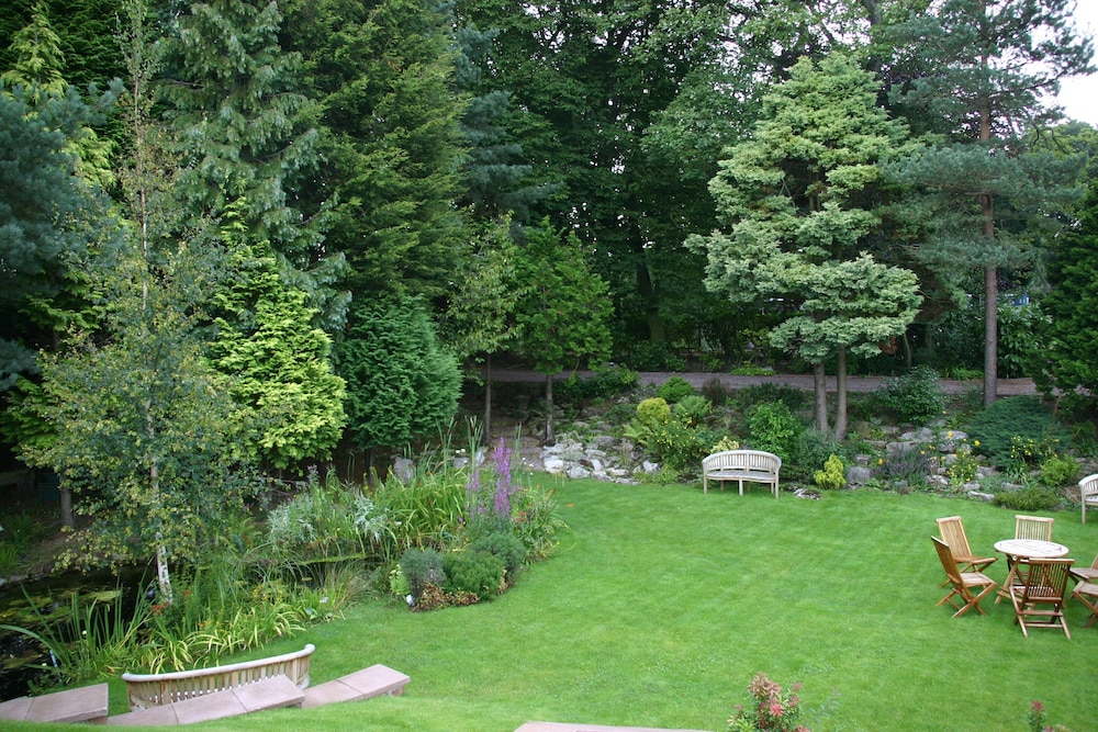 Photo 50