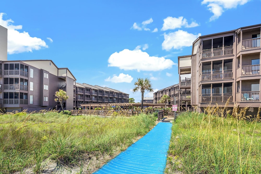 Tilghman Beach 316