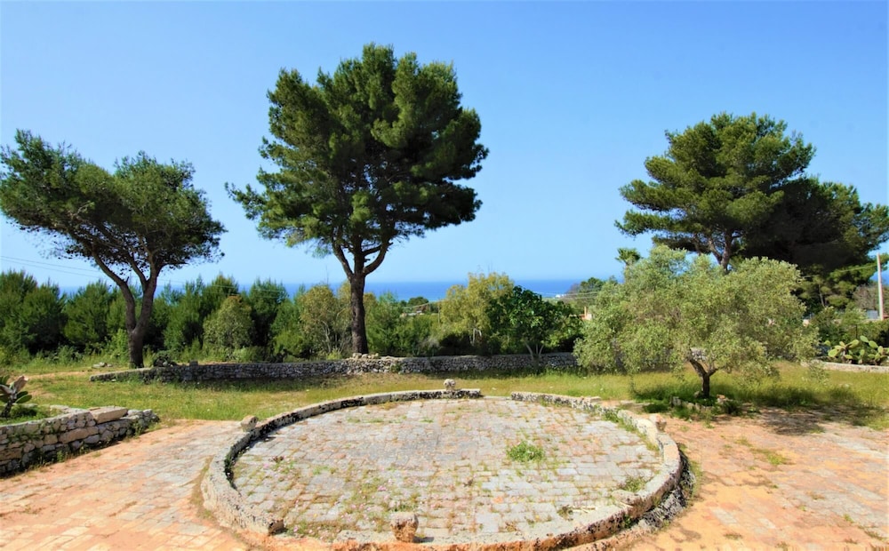 Sal010 in Torre Pali view 3