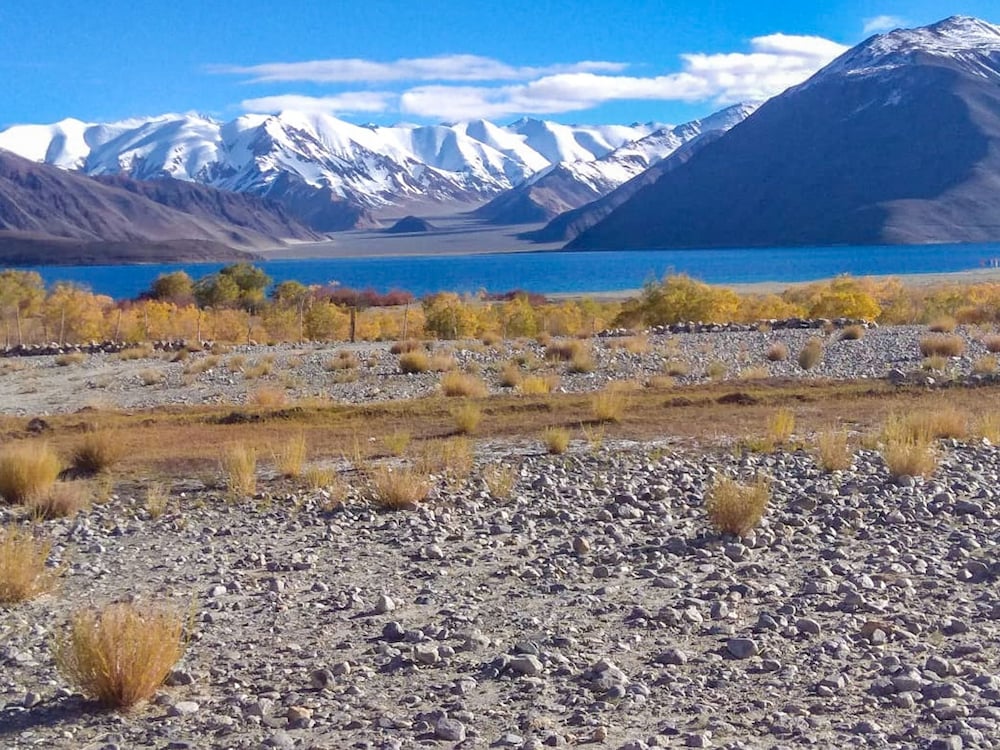 Camp Nirvana Pangong view 2