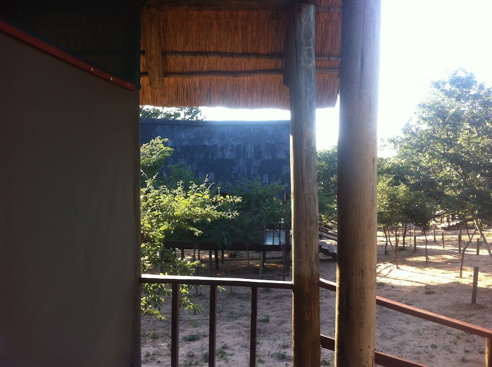 Lion Roars Lodge