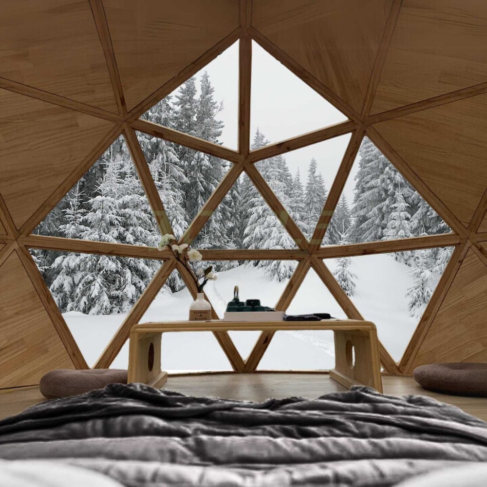 SKOG - Aurora igloos