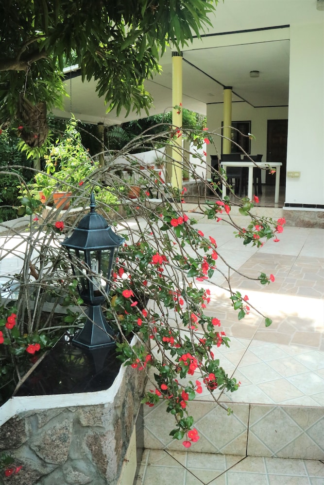 Photo 43
