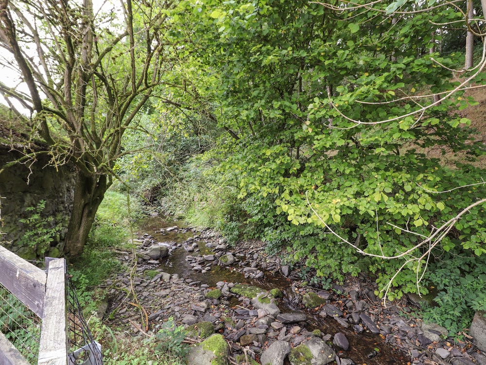 Nant Y Celyn