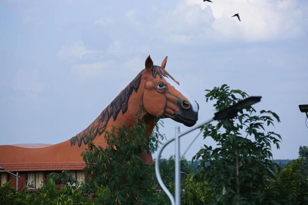 Champions Ranch
