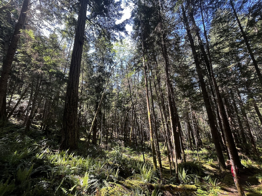 Heartwood Retreats