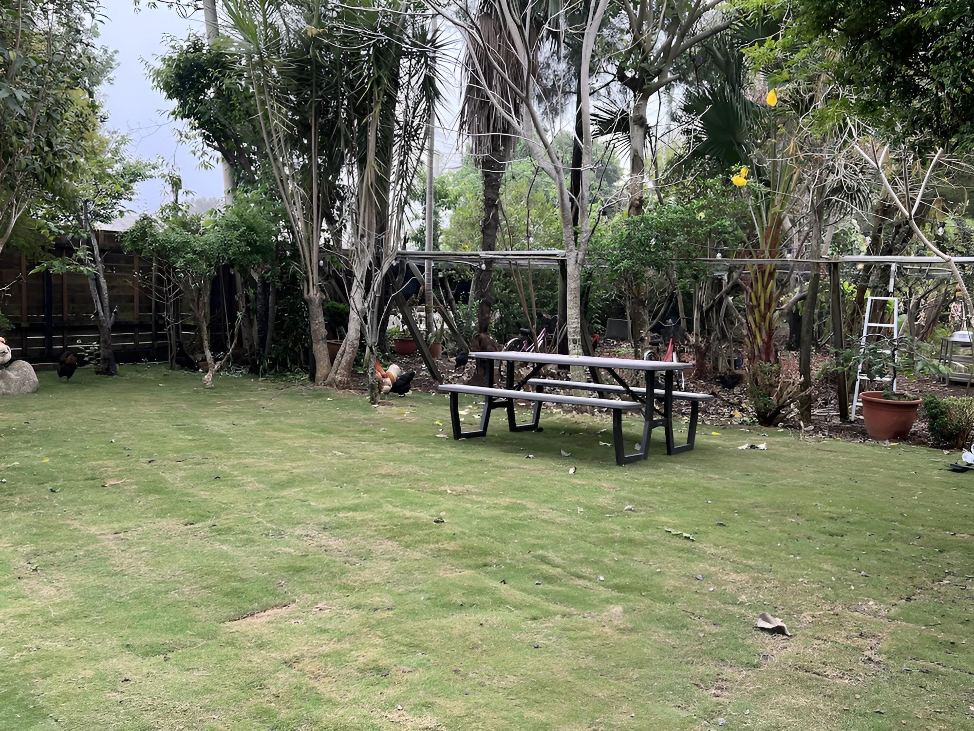 Xinshe Homestay view 5