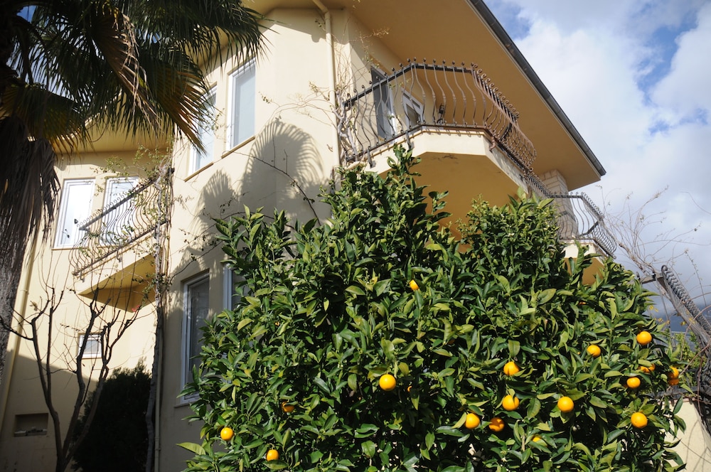 Photo 23