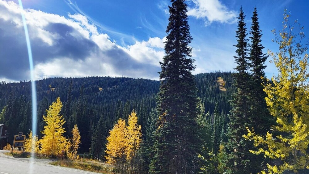 Sun Peaks Vacations - Timberline Village 46 4 Bedroom Home - Property Image 11