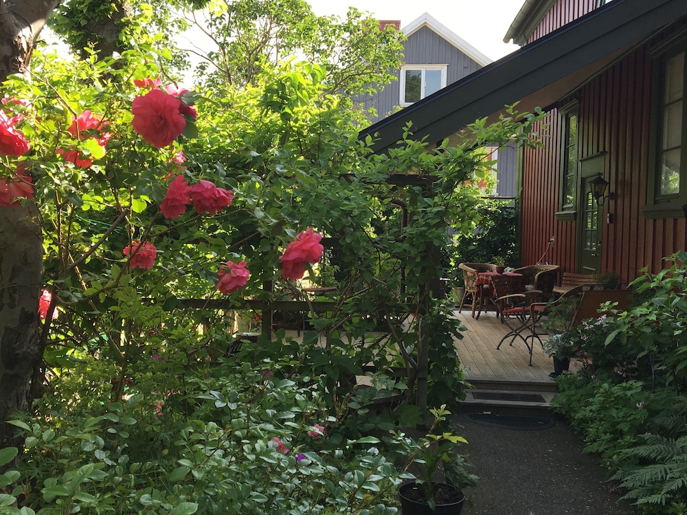 Annes Hus — photo 26