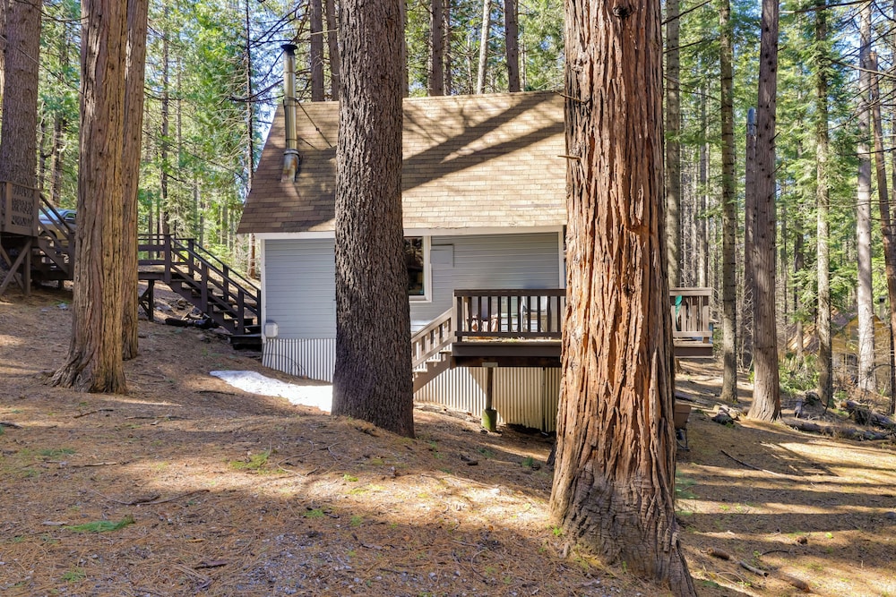 Hike, Ski & Sip: Arnold Cabin 4 Mi to State Park!