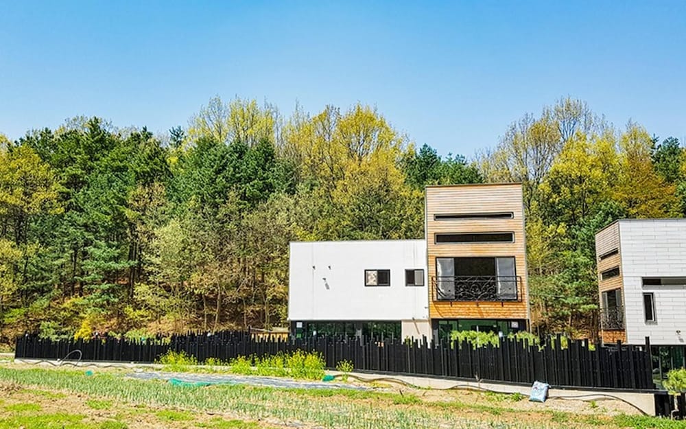 Photo 36