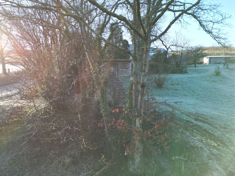 Lydvale Lodge in Lifton