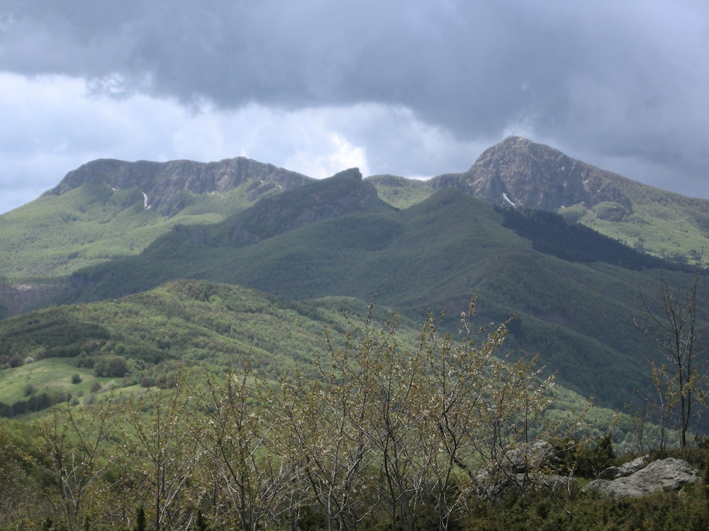 Photo 27