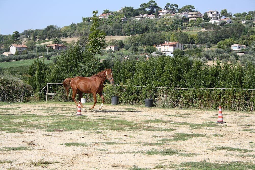 Agriturismo Vecchia Monta