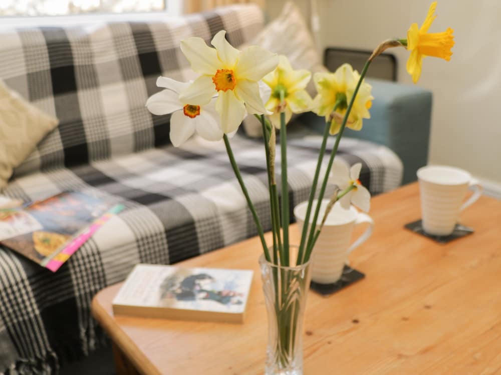 Cosy Cottage view 3