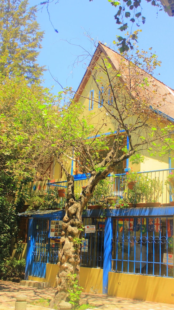 Posada del Maple - Hostel