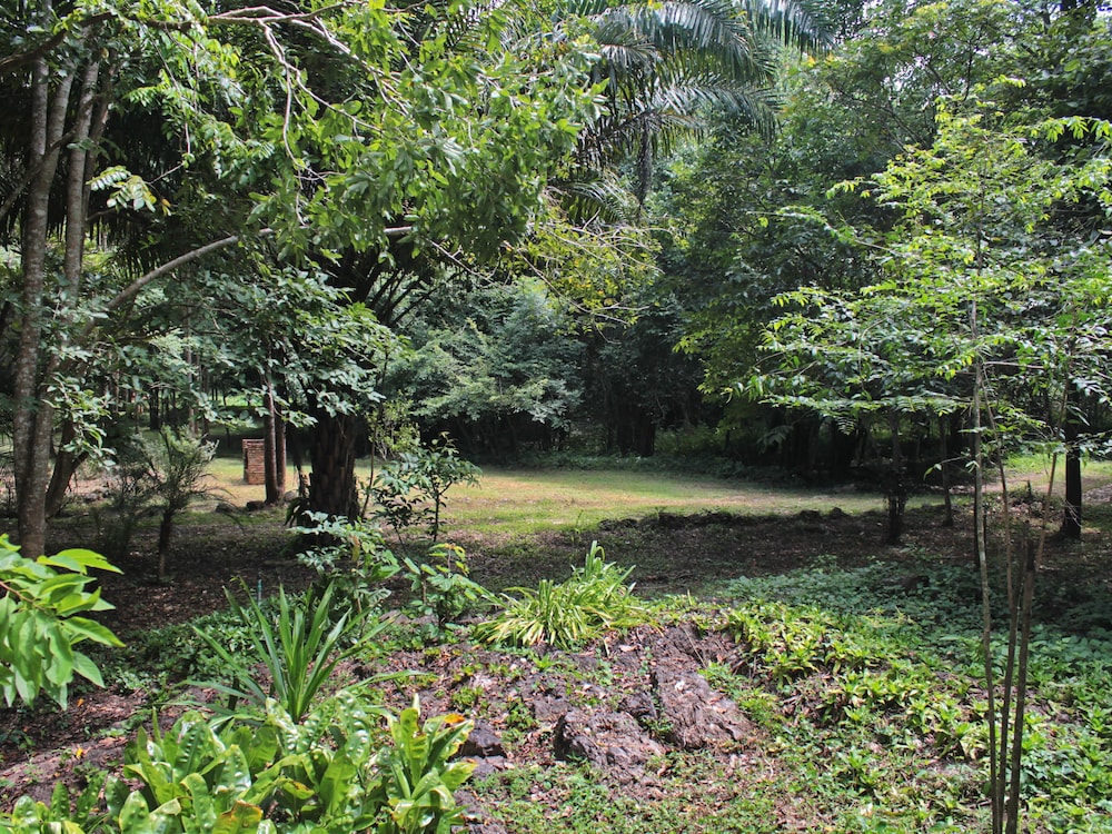 Photo 29