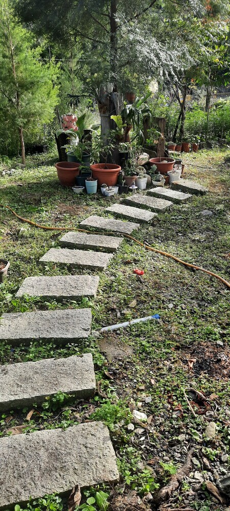 Photo 34