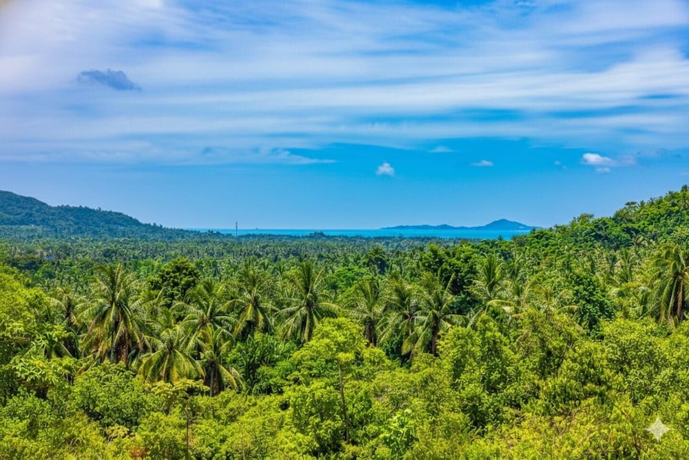 Archies Paradise View