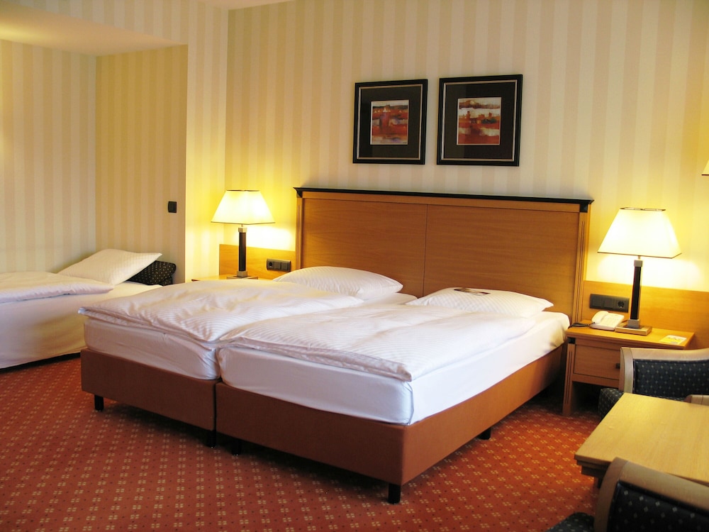 Dresden Vacations - Maritim Hotel  Internationales Congress Center Dresden - Property Image 41