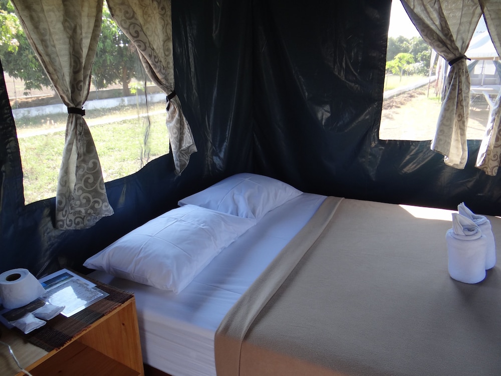 The Camping Field